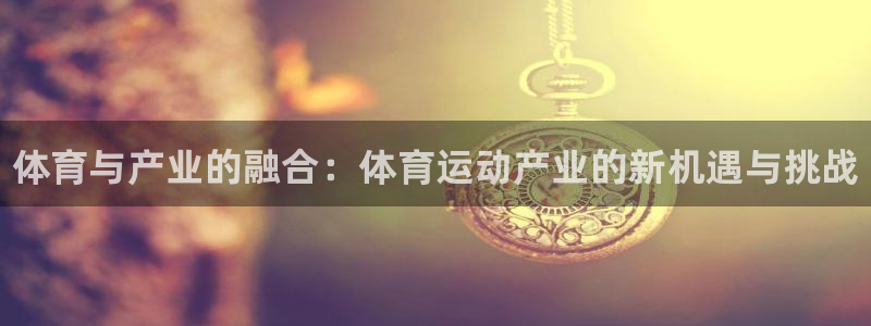 德国一竞技官方正版app集团:体育与产业的融合:体育运动产业