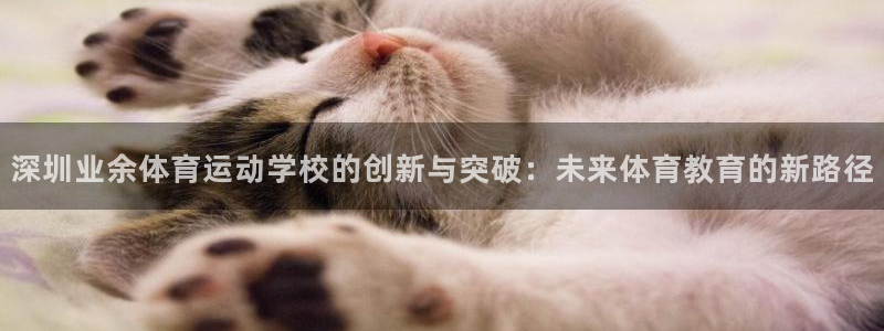 一竞技官网下载招商电话号码:深圳业余体育运动学校的创新与突破