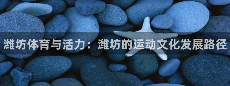 一竞技官网下载是干嘛的公司:潍坊体育与活力:潍坊的运动文化发