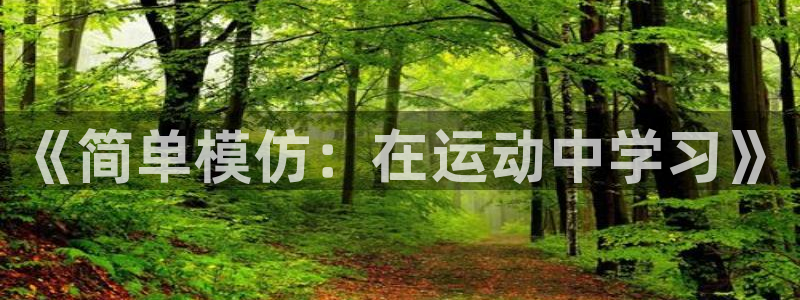 一竞技官网下载联系电话:《简单模仿:在运动中学习》