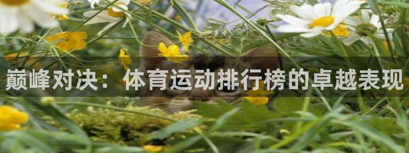 一竞技官方正版app集团官网首页:巅峰对决:体育运动排行榜的